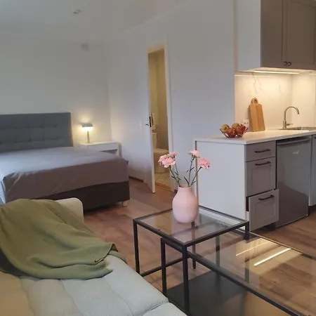 Myroom-2 Near The Center And The Stroomi *